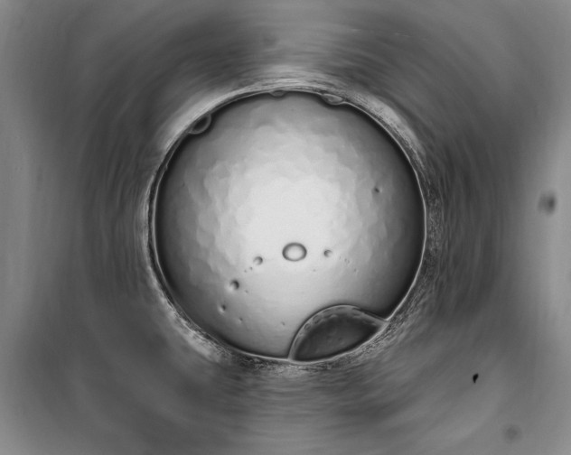 X0000100321431200806121053