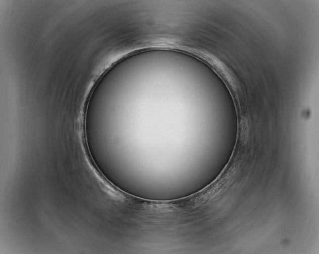 X0000100321432200806121053