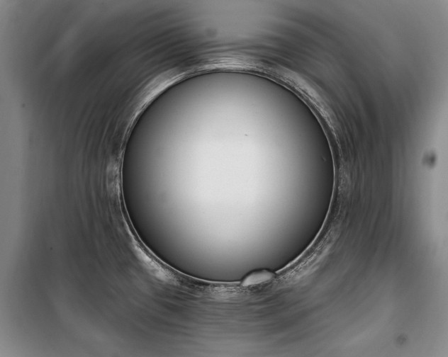 X0000100321433200806121053