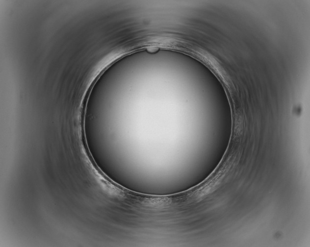 X0000100321434200806121053