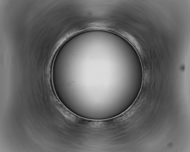 X0000100321435200806121053