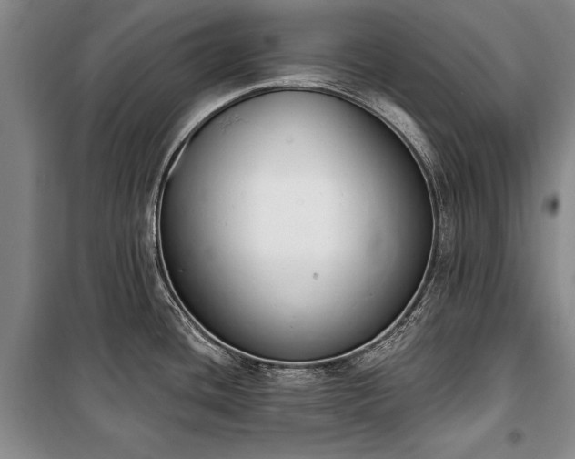 X0000100321436200806121053