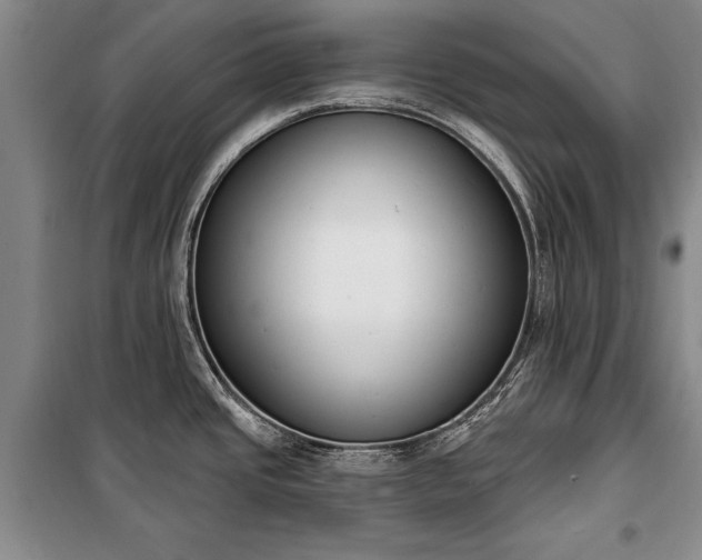 X0000100321437200806121053