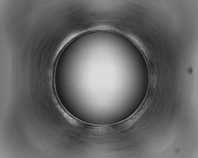 X0000100321438200806121053