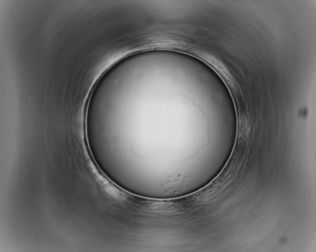 X0000100321439200806121053