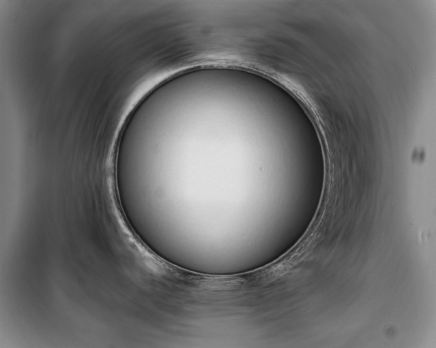 X0000100321440200806121053