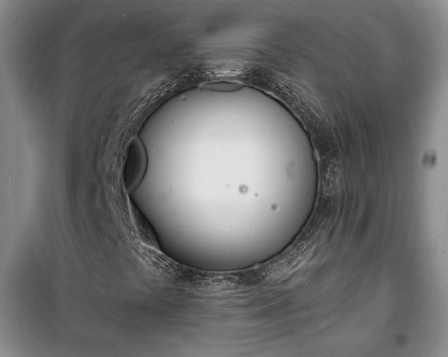 X0000100321441200806121053