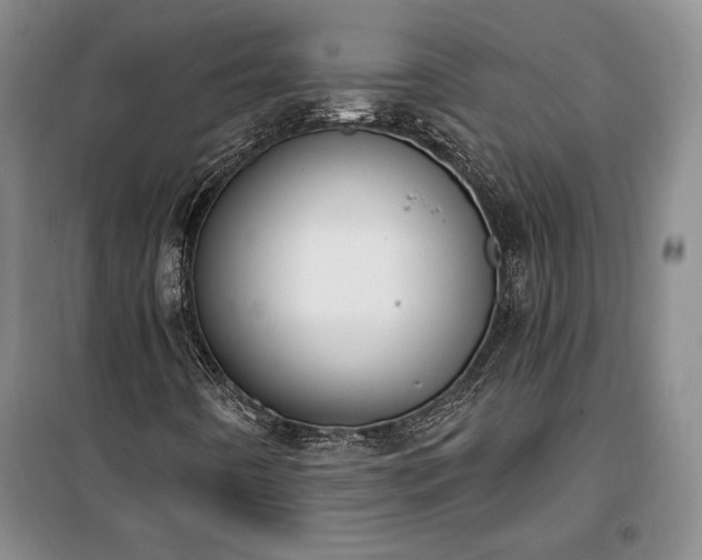 X0000100321442200806121053