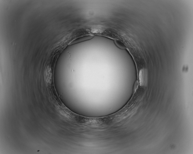 X0000100321443200806121053