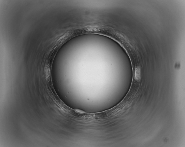 X0000100321444200806121053