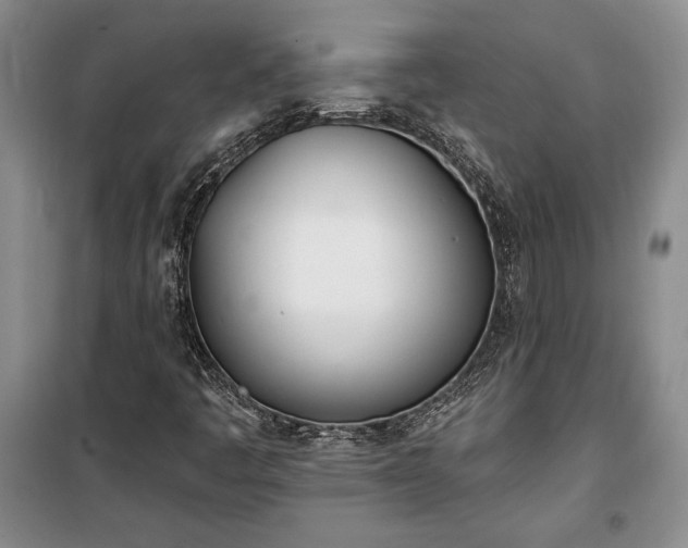 X0000100321445200806121053