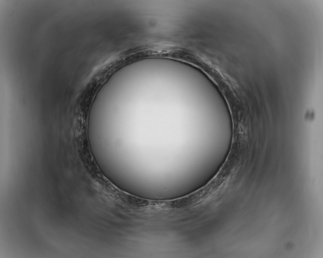 X0000100321447200806121052