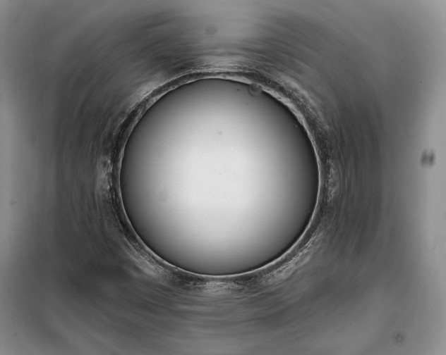 X0000100321449200806121052