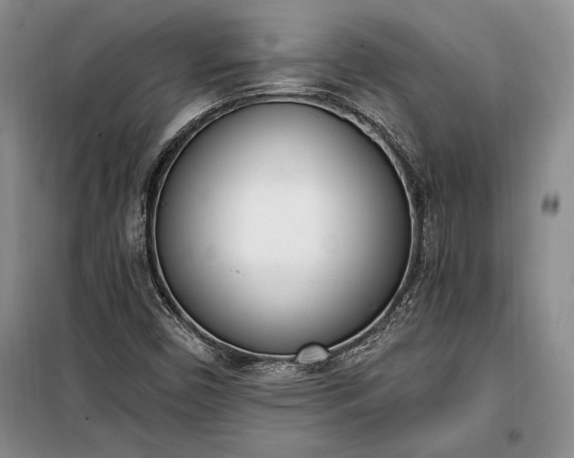 X0000100321450200806121052