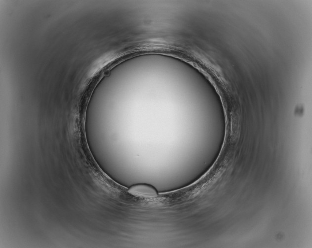 X0000100321453200806121052