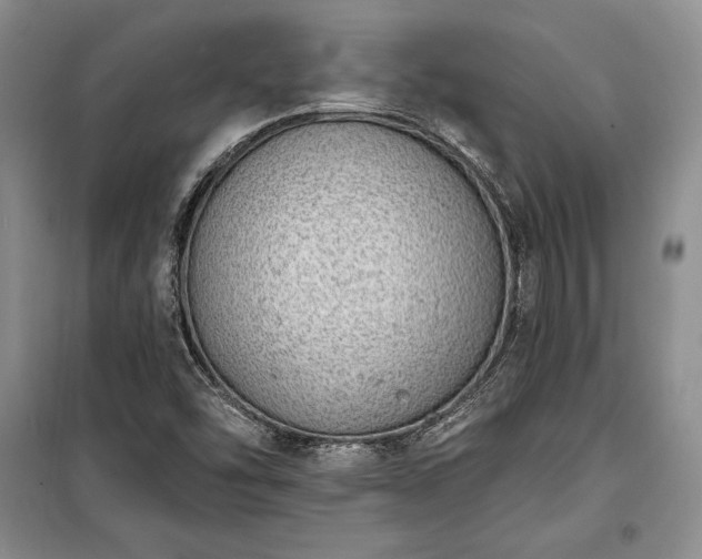 X0000100321454200806121052