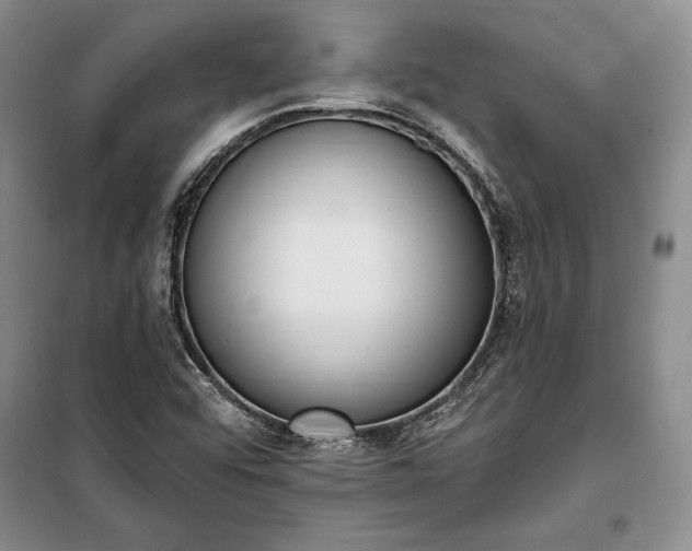 X0000100321456200806121052