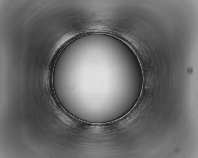 X0000100321458200806121052