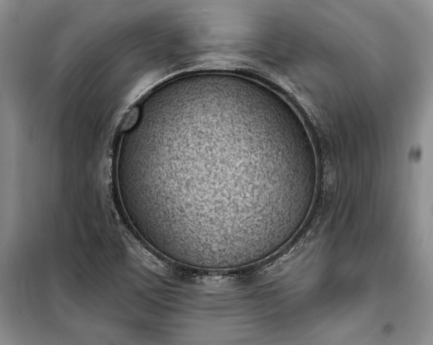 X0000100321459200806121052