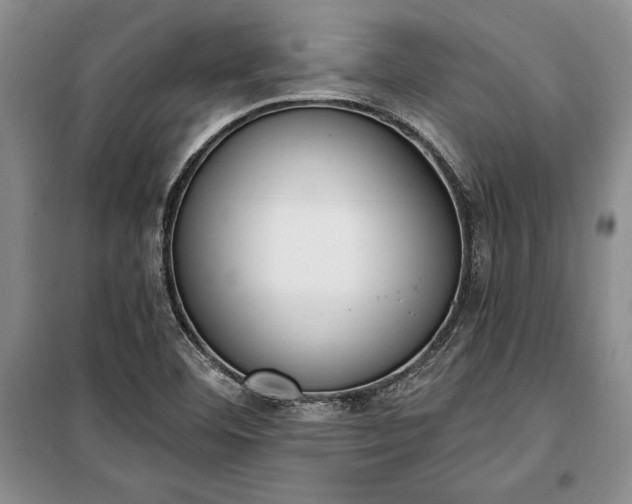 X0000100321460200806121052