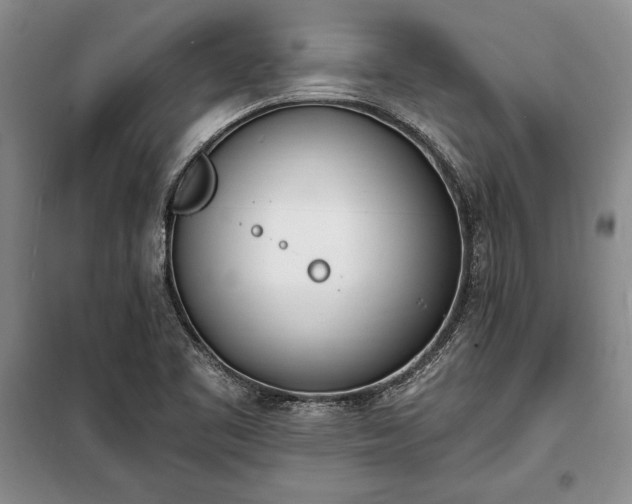 X0000100321461200806121052