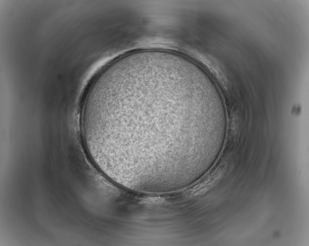 X0000100321462200806121052