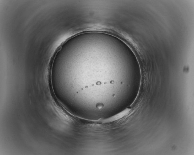 X0000100321463200806121052