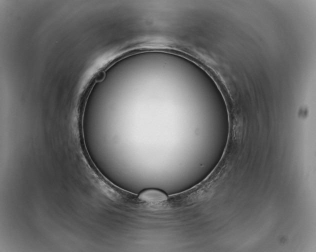 X0000100321464200806121052