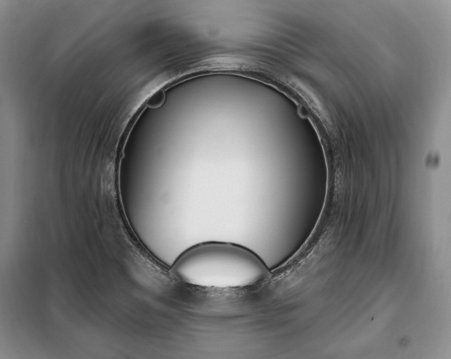 X0000100321465200806121052