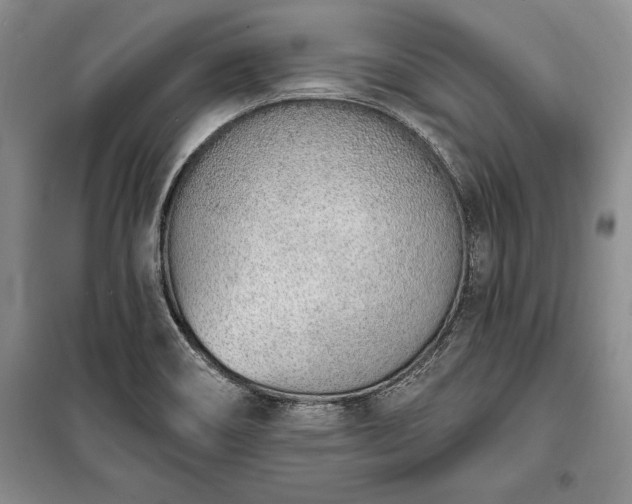 X0000100321466200806121052