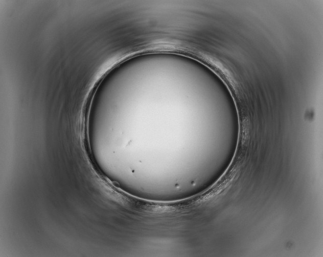 X0000100321467200806121052