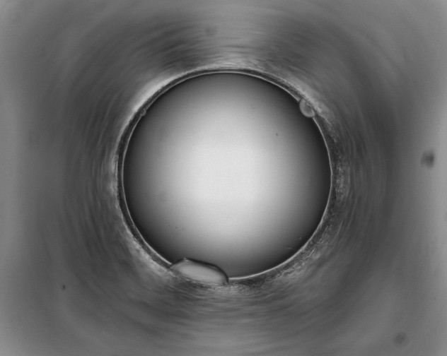 X0000100321468200806121052