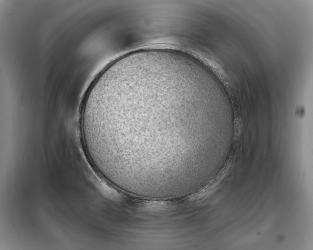 X0000100321470200806121052