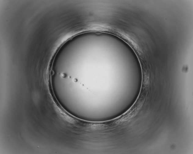 X0000100321471200806121052