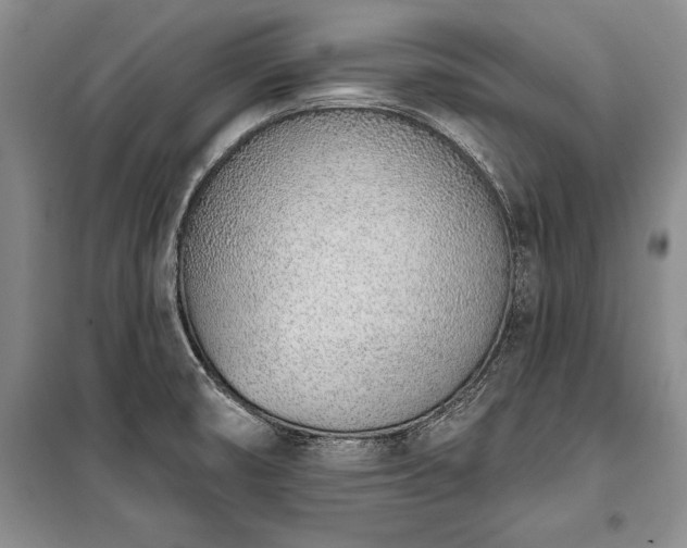 X0000100321474200806121052