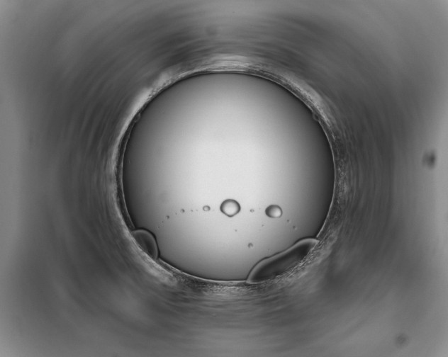 X0000100321475200806121052