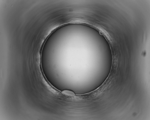 X0000100321476200806121052