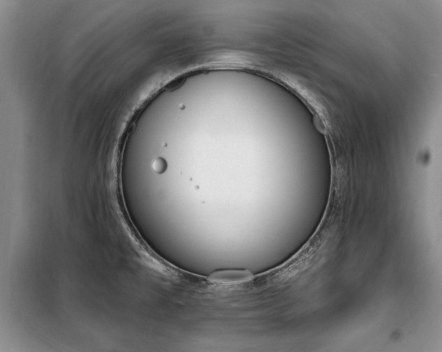 X0000100321477200806121052