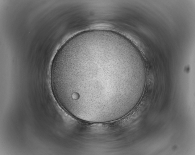 X0000100321478200806121052