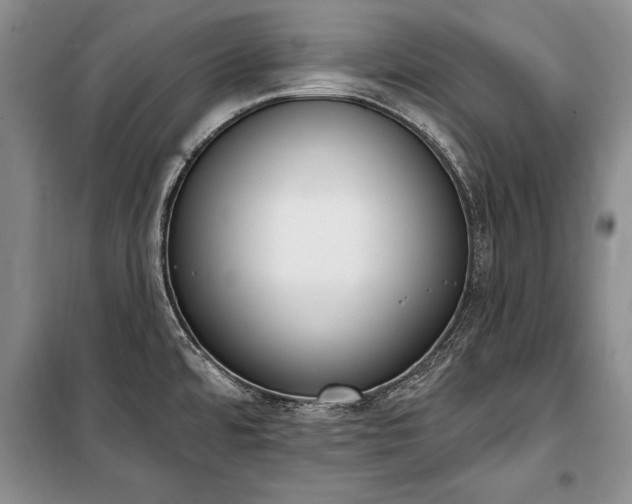 X0000100321480200806121052