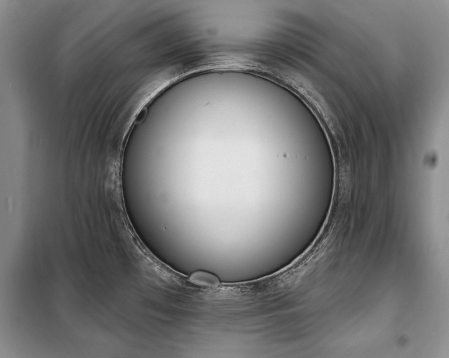 X0000100321481200806121052