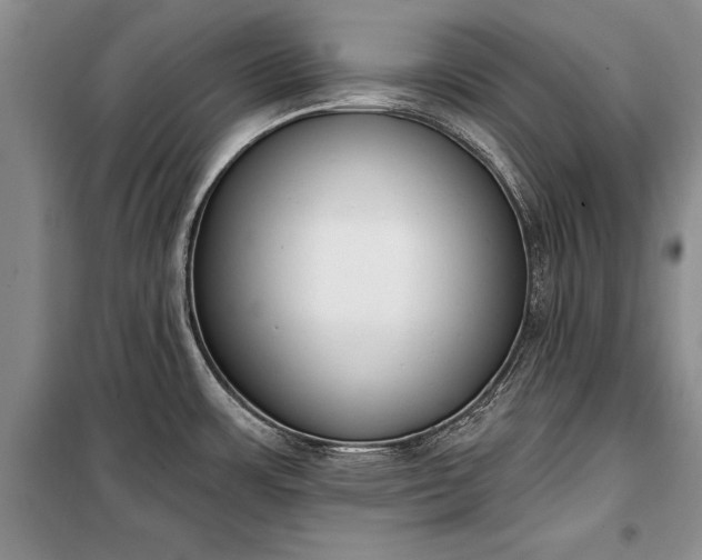 X0000100321483200806121052