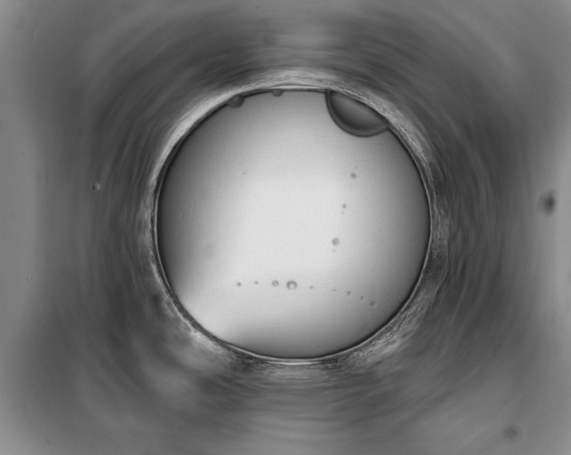 X0000100321486200806121052