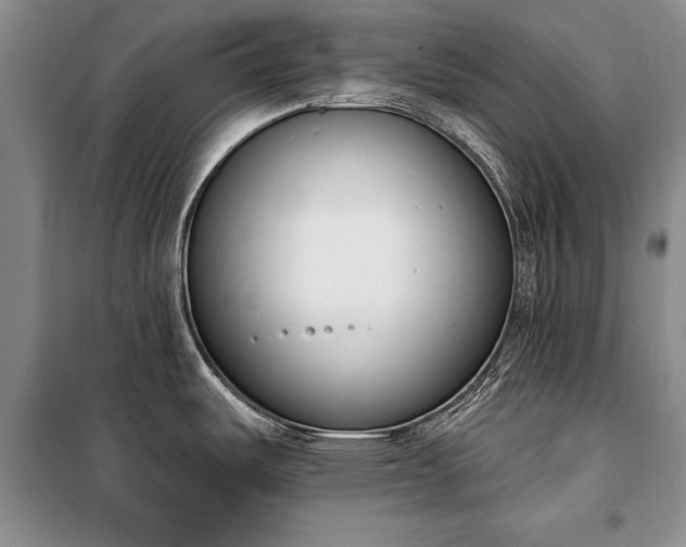 X0000100321487200806121052