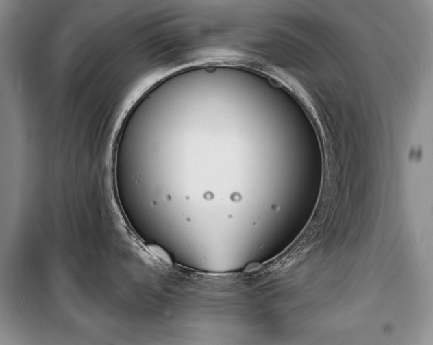 X0000100321488200806121052