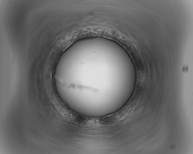 X0000100321489200806121051