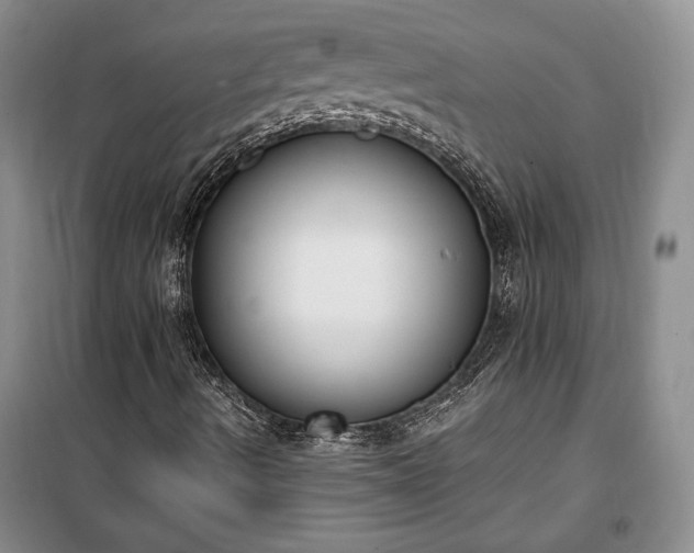 X0000100321490200806121051