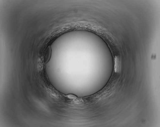 X0000100321491200806121051