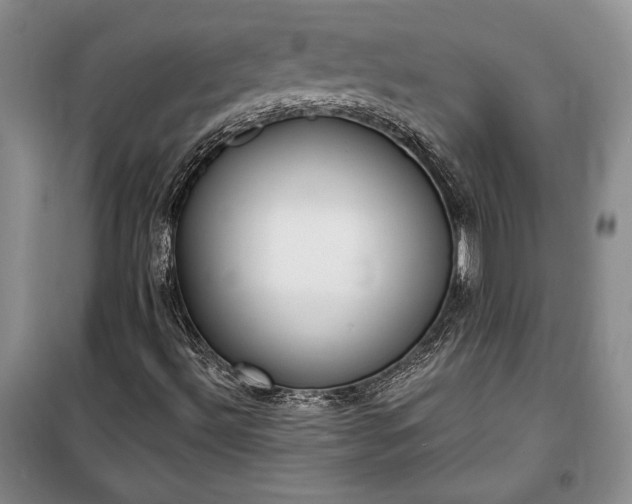 X0000100321492200806121051