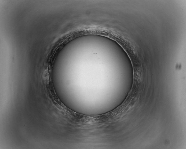 X0000100321493200806121051